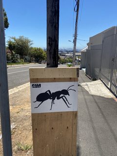 An ant left in a public place