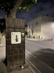 An ant left in a public place