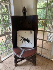 An ant left in a public place