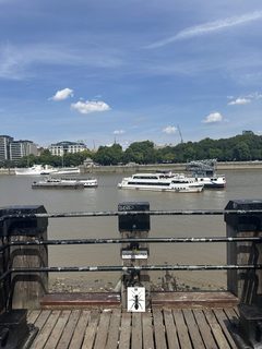 An ant left in a public place, the South Bank