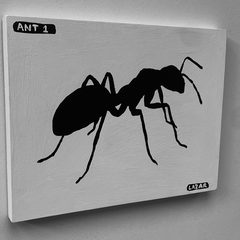 Ant 1