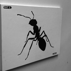 Ant 2