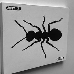 Ant 3