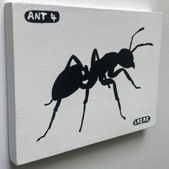 Ant 4