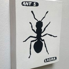 Ant 5