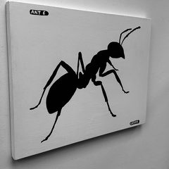 Ant 6