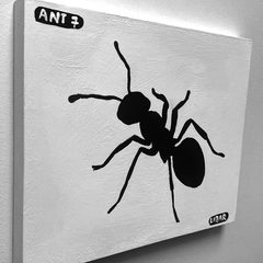 Ant 7