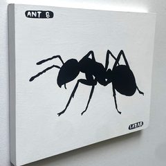 Ant 8
