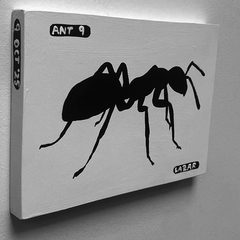 Ant 9