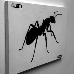 Ant 11