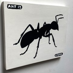 Ant 12