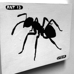 Ant 13