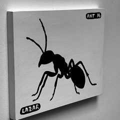 Ant 14