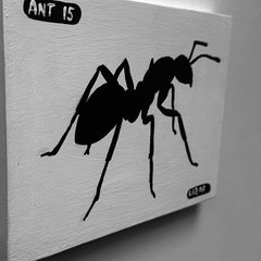Ant 15