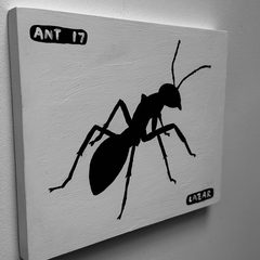 Ant 17