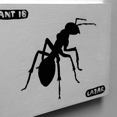 Ant 18