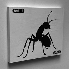 Ant 19