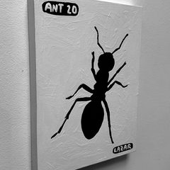 Ant 20