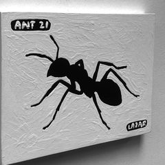 Ant 21