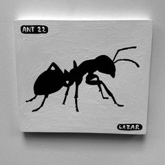 Ant 22