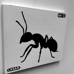 Ant 23