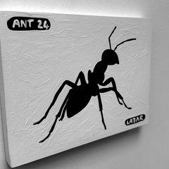 Ant 24