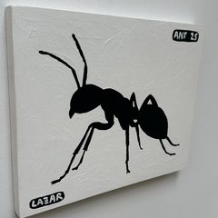 Ant 25