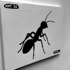 Ant 26