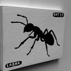 Ant 27