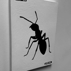 Ant 28