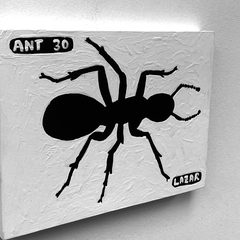 Ant 30