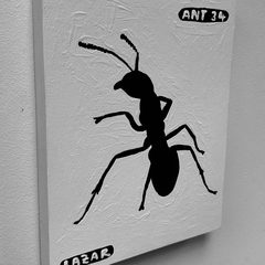 Ant 34