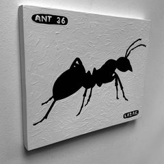 Ant 36