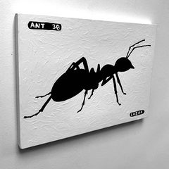 Ant 38