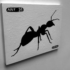 Ant 39