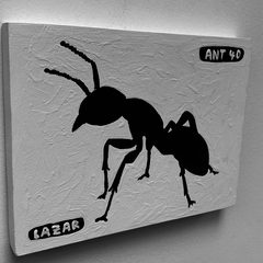 Ant 40