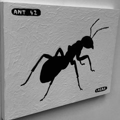 Ant 42