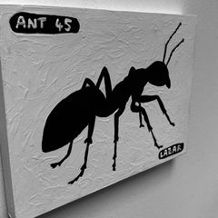 Ant 45