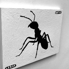 Ant 46