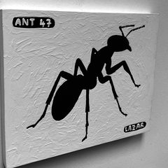 Ant 47