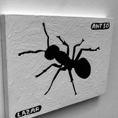 Ant 50