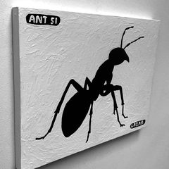 Ant 51