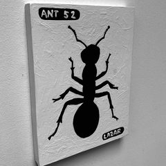 Ant 52