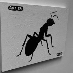 Ant 54
