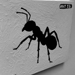Ant 56