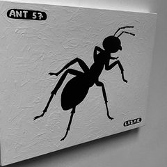 Ant 57