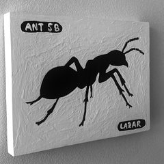 Ant 58