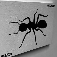 Ant 59