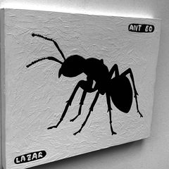 Ant 60