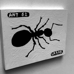 Ant 62
